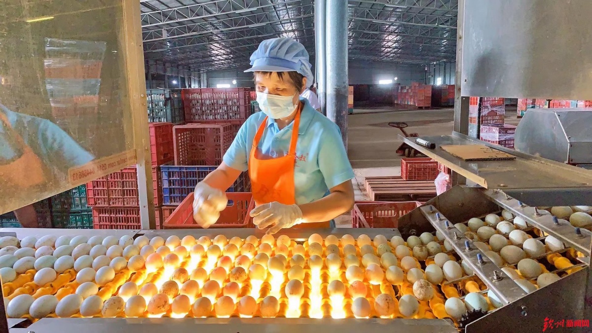 網眼看欽州|誠信食品企業開放日 &ldquo;零距離&rdquo;感受放心食品